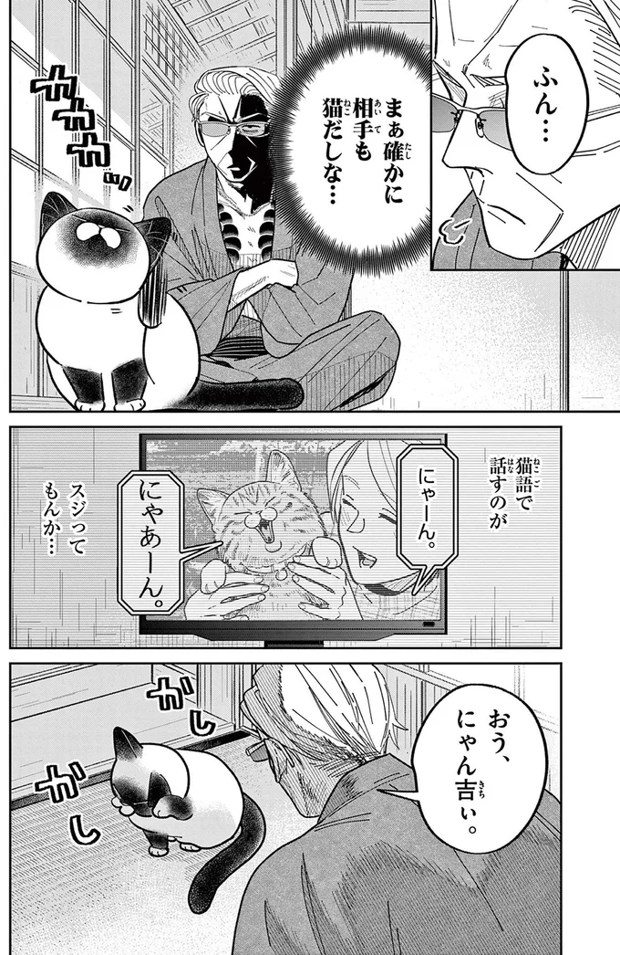 野良猫の鳴き声を聞いてみたい！ あの手この手と仕掛けるものの...／オヤジとにゃん吉 16214528.webp
