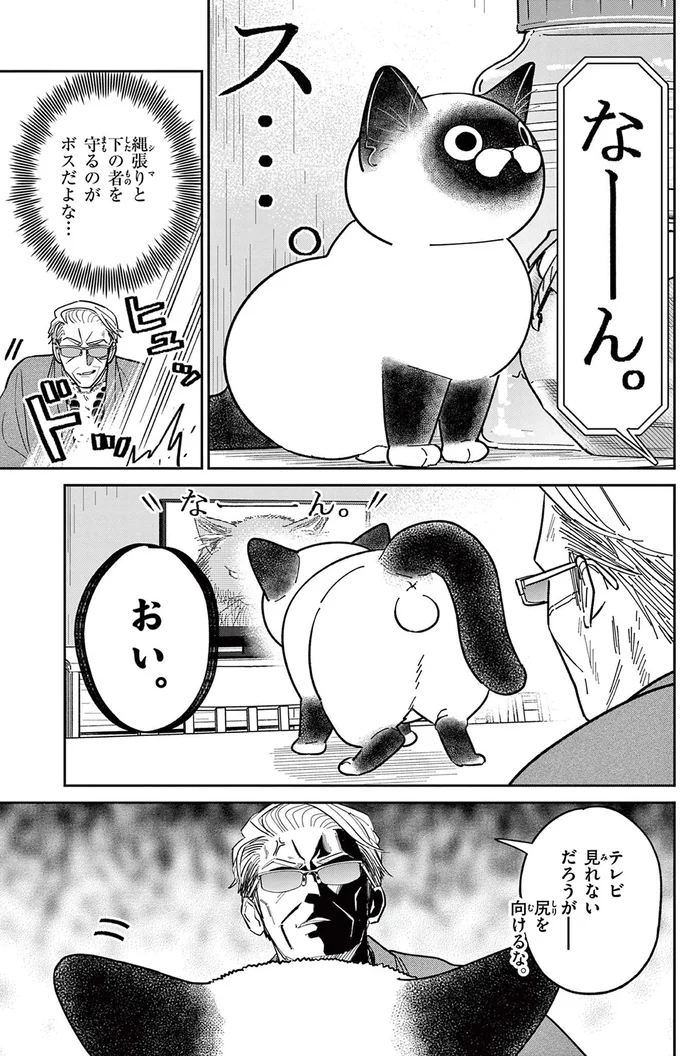 「なんて覇気だ！」いつもはのんびり屋な野良猫。テレビに映る「ボス猫」を見て豹変／オヤジとにゃん吉 16212762.webp