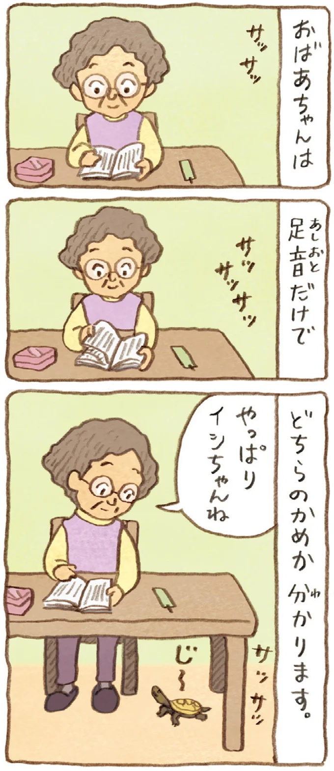 おばあちゃんとかめ 何げに楽しい2匹とのくらし 03-03.webp