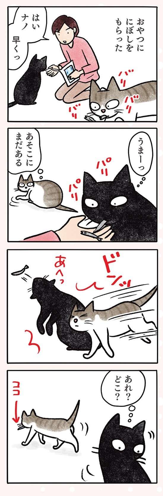 「なんでやろ」猫の食事。どうしても「こう」なるのは何故なのか／黒猫ナノとキジシロ猫きなこ kuroneko_nano8-7.jpg