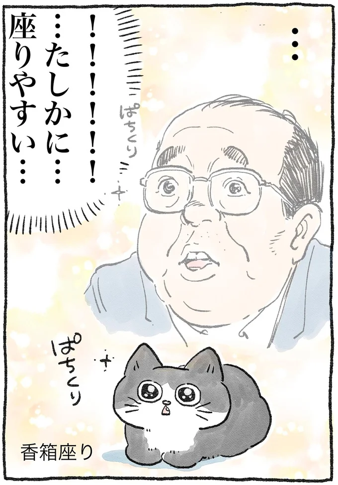 『ねこに転生したおじさん1〜3』 32.webp