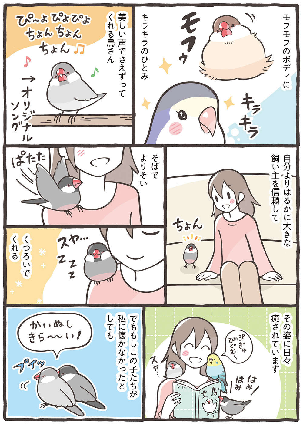 モフモフボディに悩殺上目遣い...癒しの鳥さんたち。お迎えしたいと思ったら／トリ扱い説明書 繝医Μ謇ｱ縺・ｪｬ譏取嶌_繝槭Φ繧ｫ繧咏判蜒・繝医Μ謇ｱ縺・ｪｬ譏取嶌_006.jpg