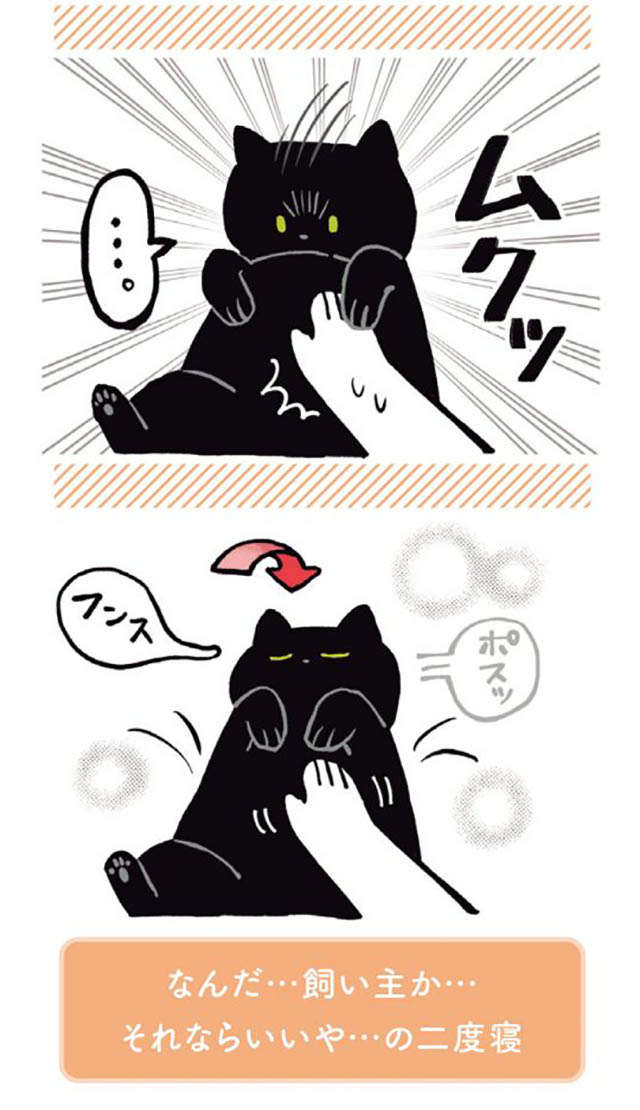 うわ...「猫は液体」ってこういうこと？ 眠る愛猫をだっこしたら／黒猫ろんと暮らしたら1 11.jpg
