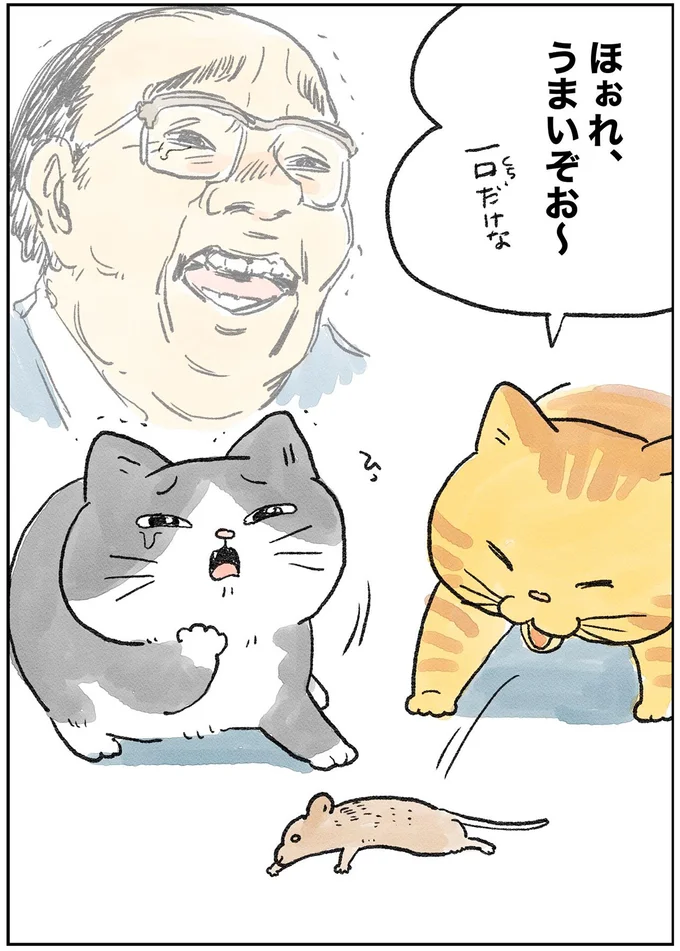 『ねこに転生したおじさん1〜3』 22.webp