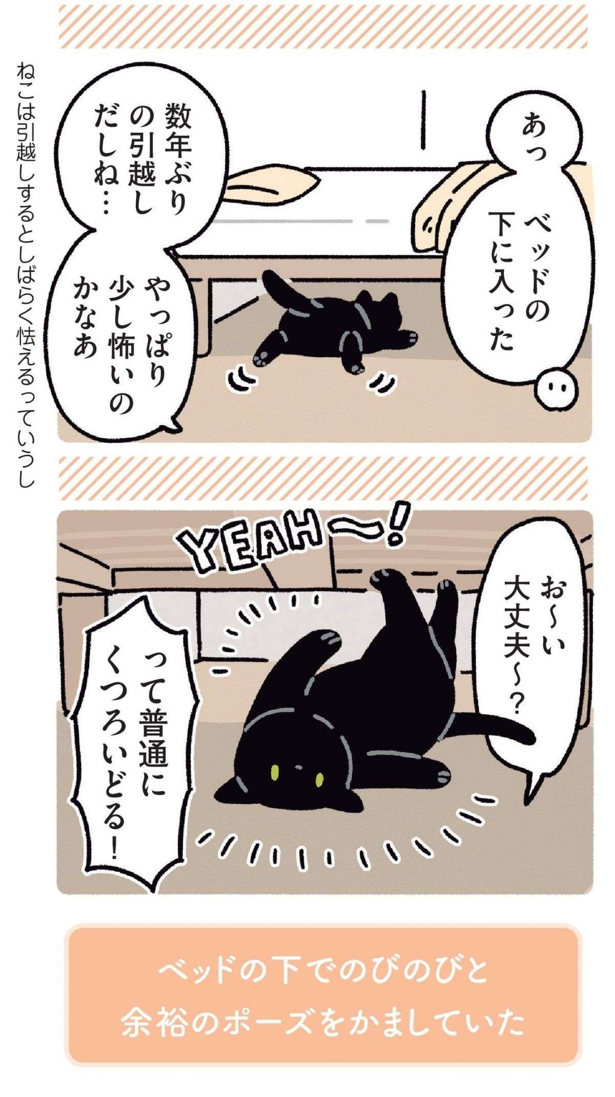 猫は思い通りにならない。引っ越し先でキャットタワーを新調したが／黒猫ろんと暮らしたら 11.jpg