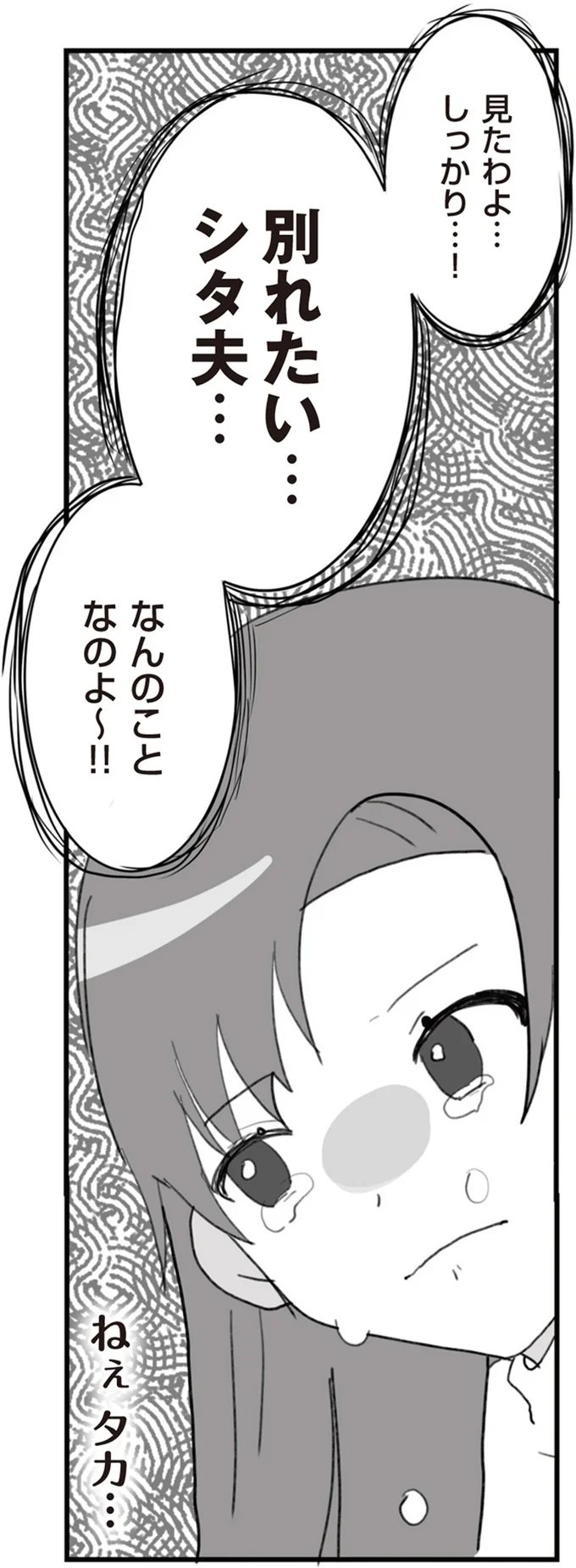 『旦那の浮気を仕掛けた黒幕は姑でした』 08-06.png