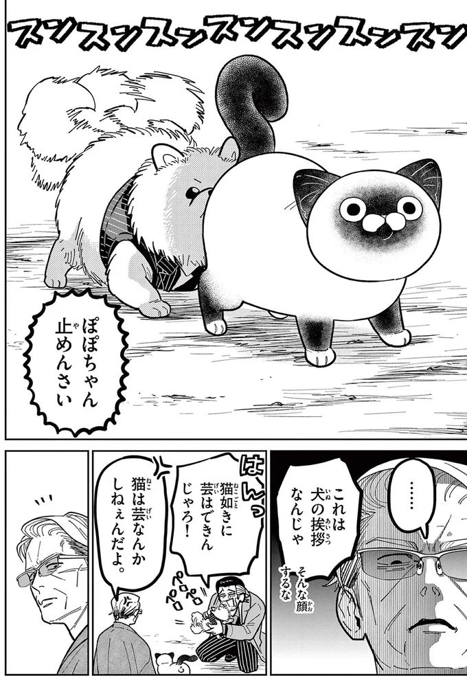 現役時代のライバルが連れてきた犬。野良猫のにゃん吉とのバトルの結果は...んん？／オヤジとにゃん吉 16223497.webp