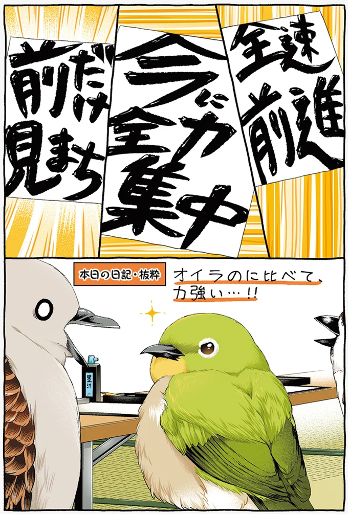『キジバトくん日記1、２』 94.webp