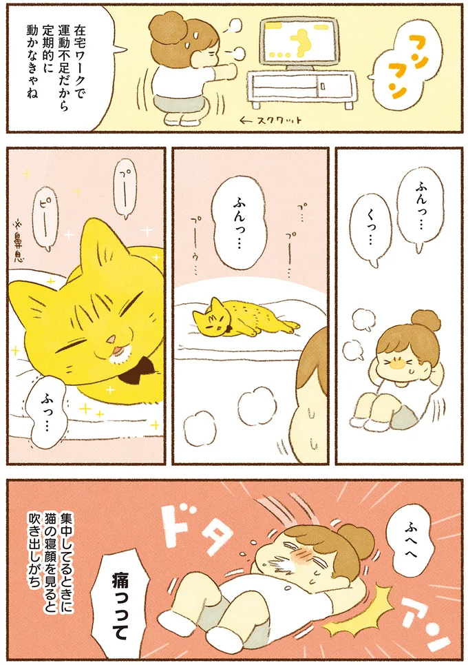 『しまねこ3姉妹と暮らしています　深まるきずな編』 13539121.webp