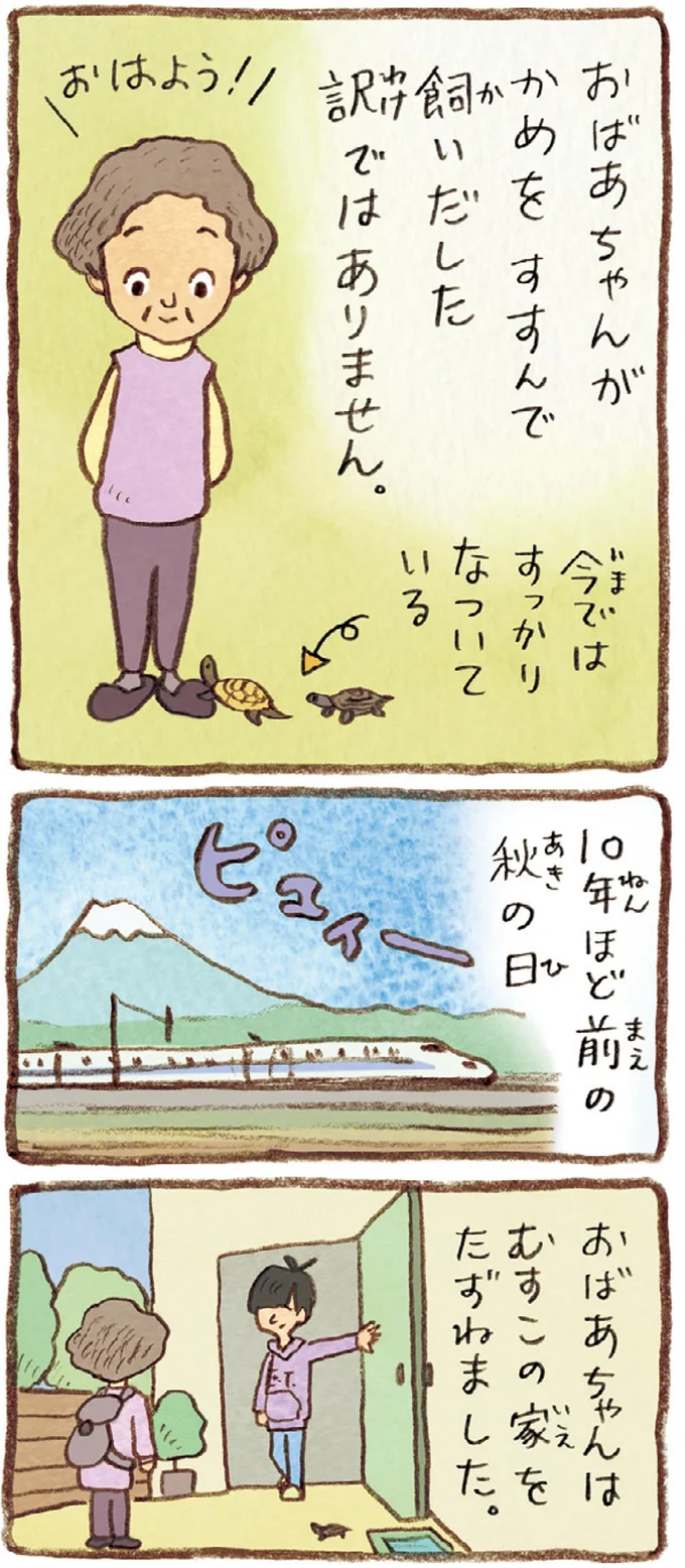 おばあちゃんとかめ 何げに楽しい2匹とのくらし 05-02.webp