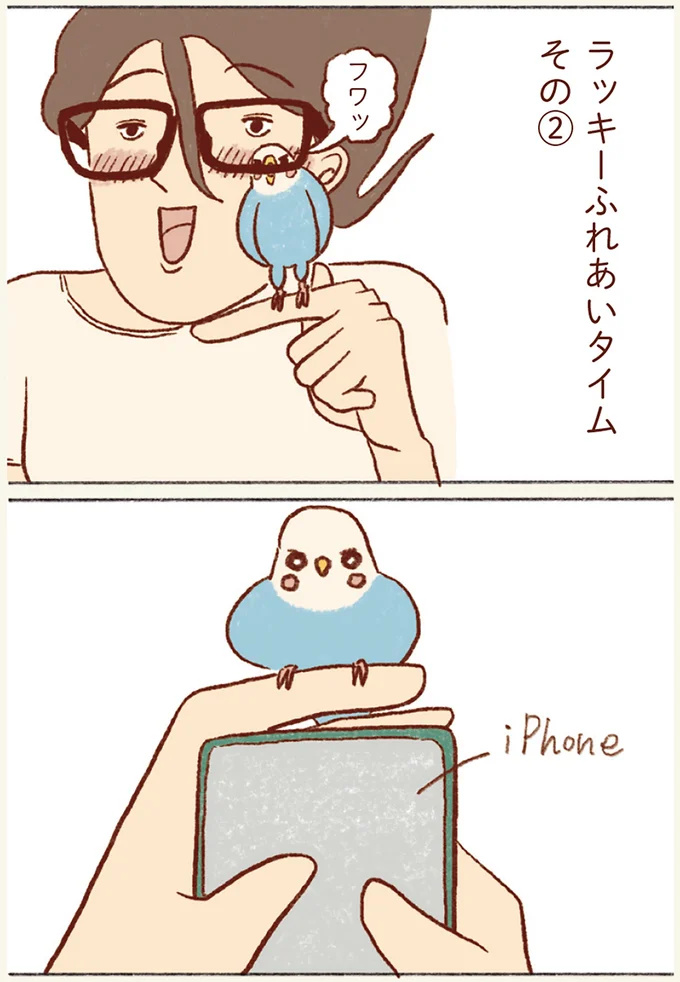 『プジェ日記！ 幸せを運ぶインコのみっちゃん』 105.webp