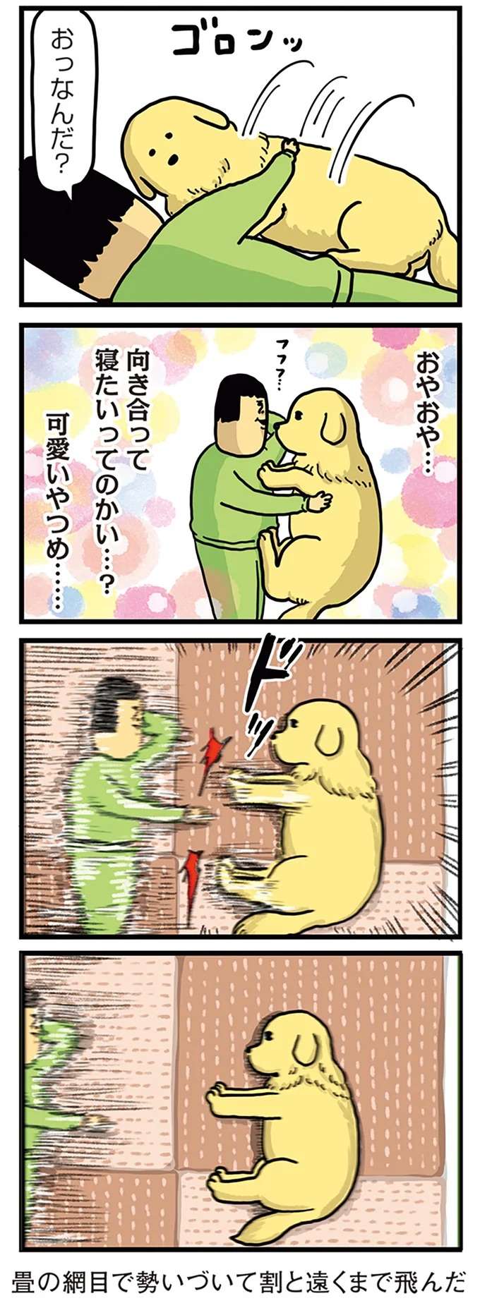 「ワン」と言わない代わりに無言で...愛犬の全力抗議が過激！／まめきちまめこニートの日常 こまちとタビ4 mame1_4.jpeg