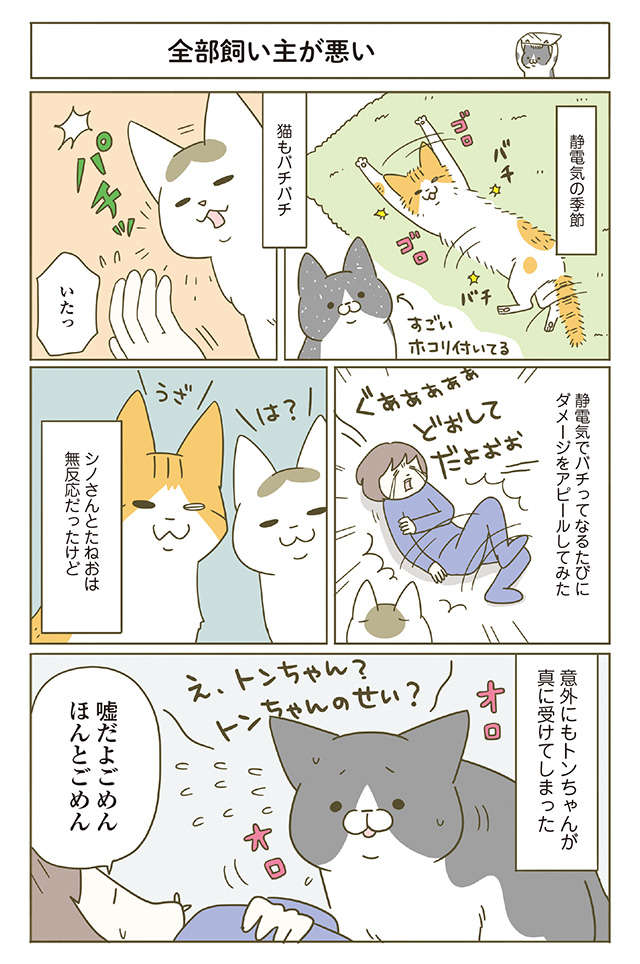 静電気の季節は猫もバチバチ。飼い主が「痛い」アピールをすると...／うちの猫がまた変なことしてる。4 1.jpg