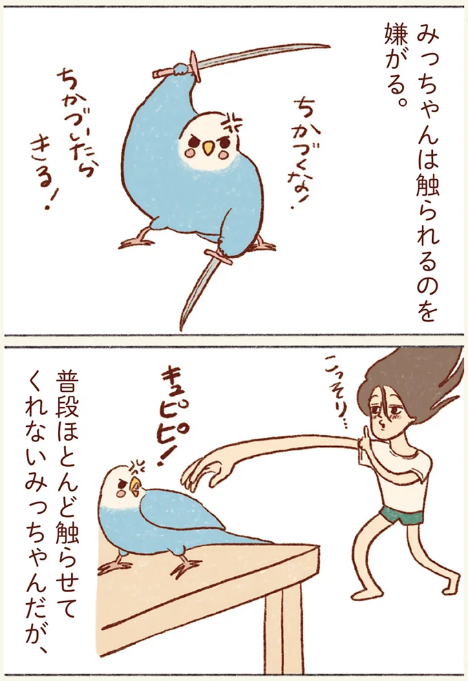 『プジェ日記！ 幸せを運ぶインコのみっちゃん』 101.webp