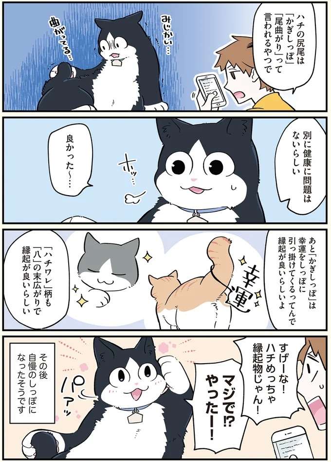 「なんか変じゃない!?」猫になった青年が自分の体をチェック／ブラック企業の社員が猫になって人生が変わった話 black33_2.jpeg