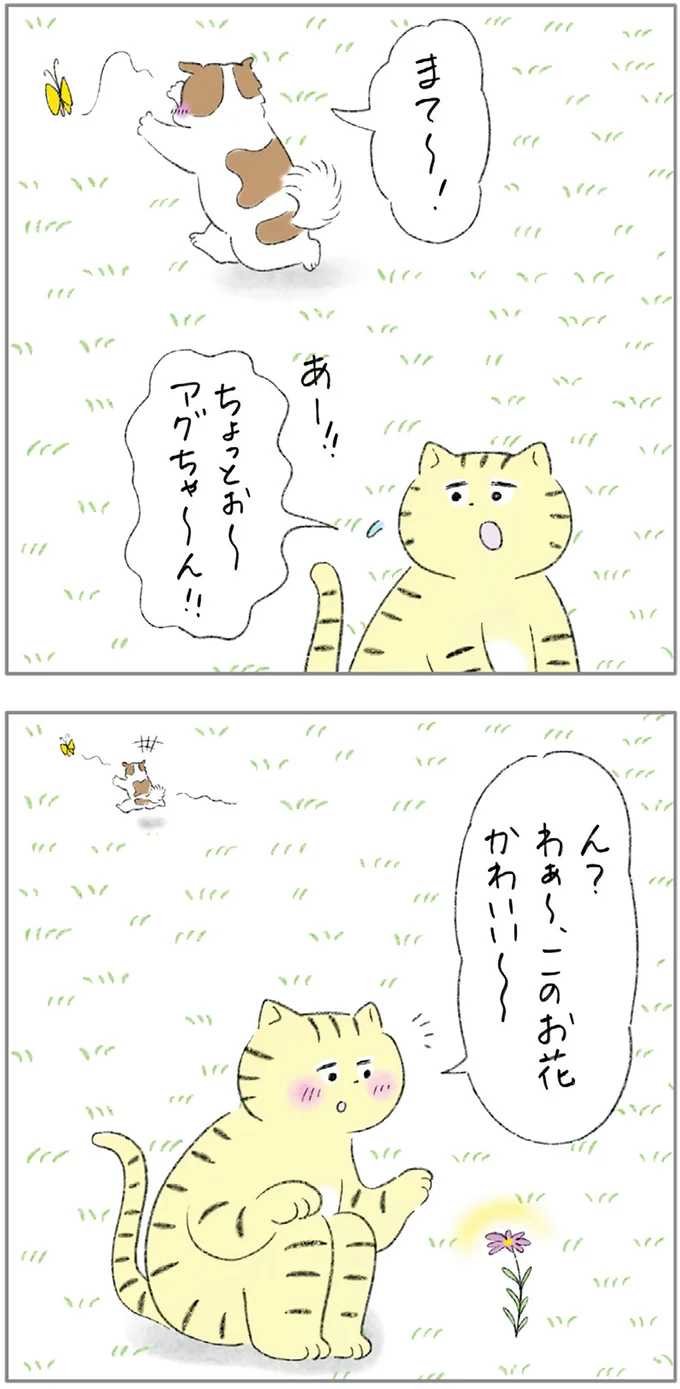 『ターとアグのしあわせ日和 元ノラ猫と元保護犬、ふたりは親友』 04-03.png