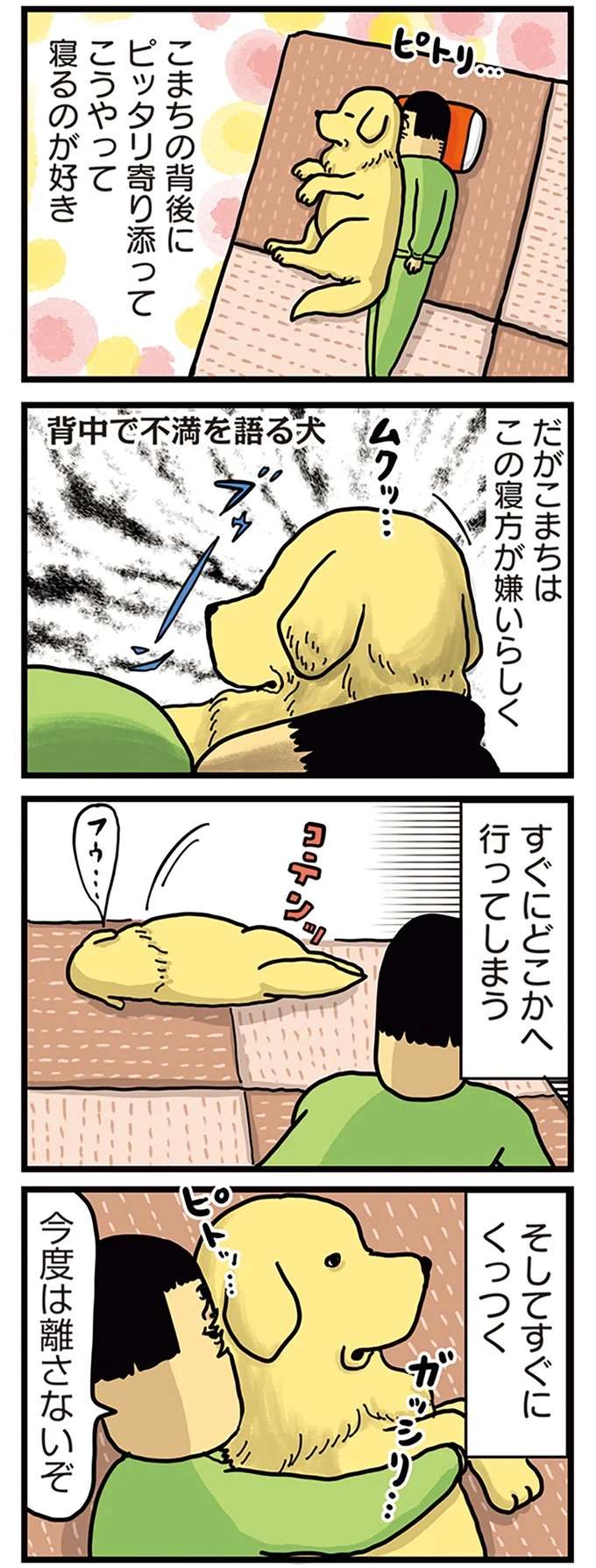 「ワン」と言わない代わりに無言で...愛犬の全力抗議が過激！／まめきちまめこニートの日常 こまちとタビ4 mame1_3.jpeg