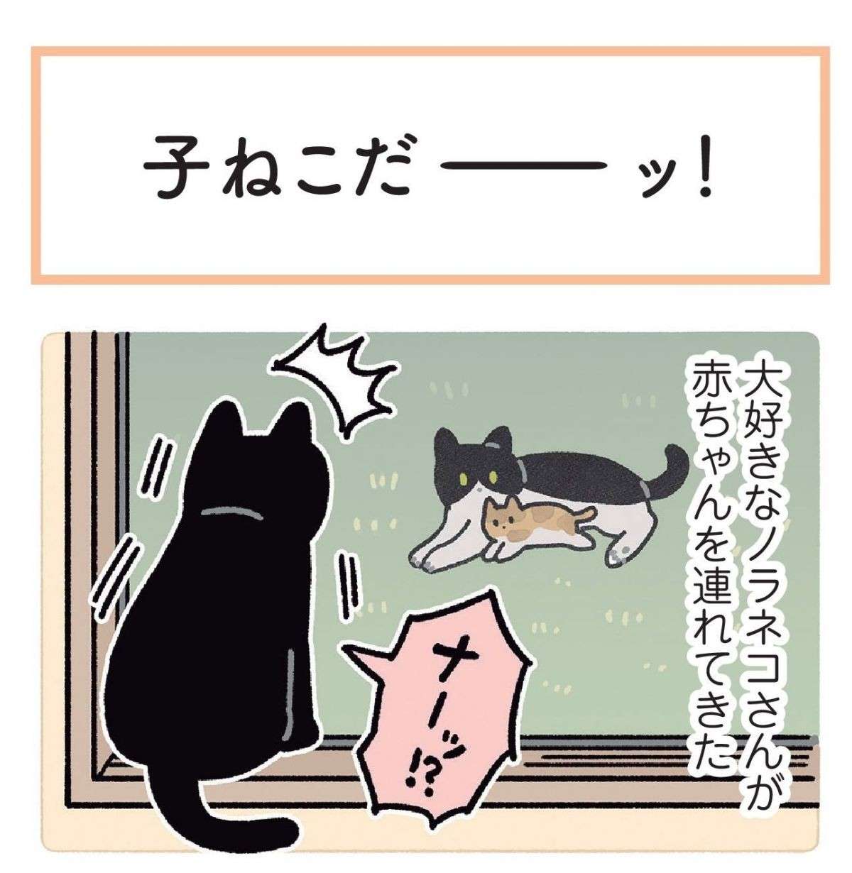 うちの猫が、子猫を見て大興奮。その喜びと気遣いが愛おしすぎて／黒猫ろんと暮らしたら 1.jpg