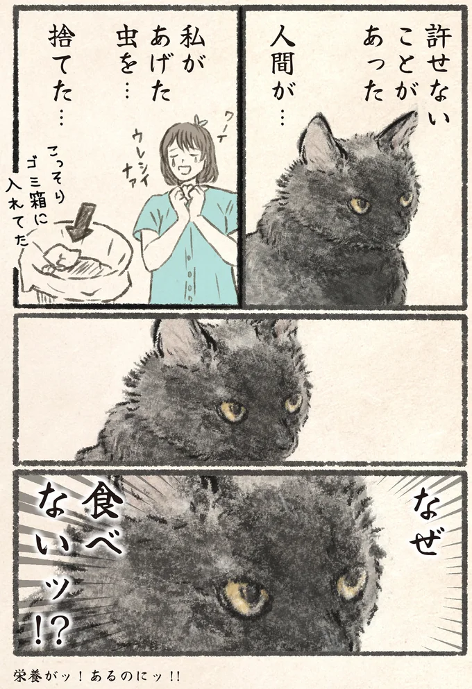 『今日もネコ様の圧が強い』 11-01.png