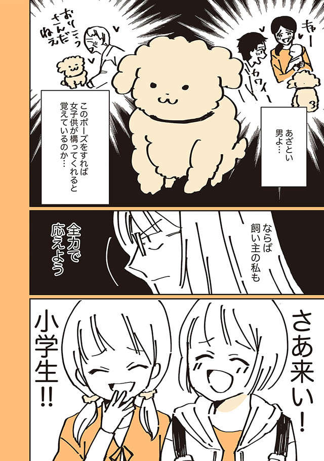 自分がかわいいと知っている愛犬。キメポーズで小学生を待っていたが...／うちのトイプーがアイドルすぎる。 toipu19_02.jpg