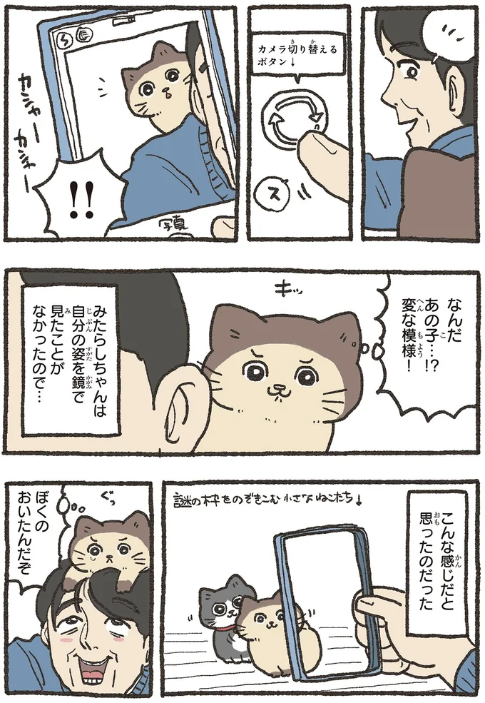 『ねこに転生したおじさん 6』 07-04.webp