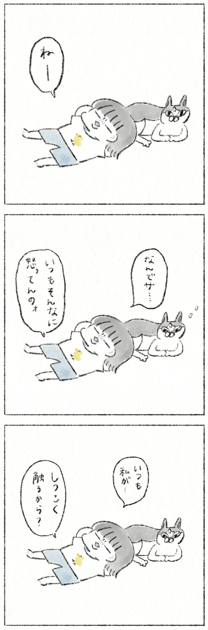 『うちの猫は今日も塩対応』 71.webp