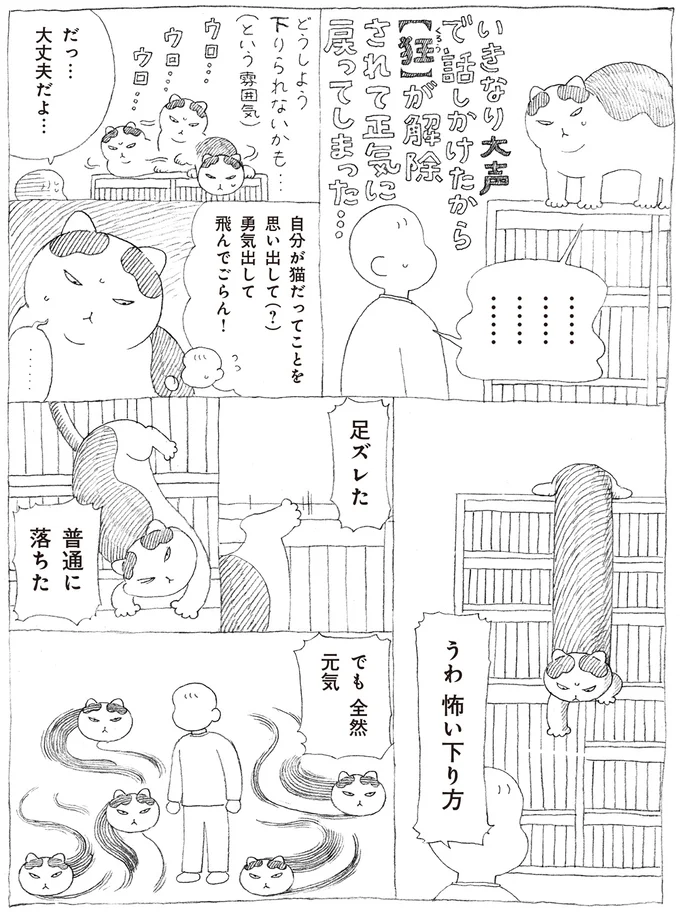 高い所にのぼろうとしない元野良猫。うっかり本棚の上に乗ってしまったら...!?／野良猫ごんた、家猫になる 16108720.webp