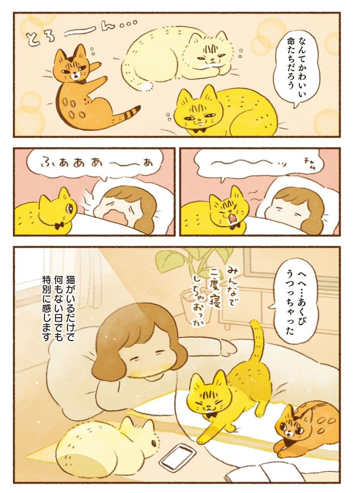 「ヒマだなぁ」でも猫がいれば何もない休日も...！／しまねこ3姉妹と暮らしています 13.jpg