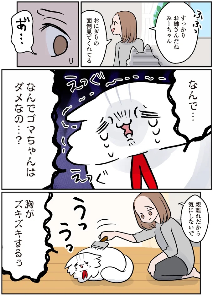 『マジレス幼児とモンペ猫 口達者な娘と過保護すぎる猫たちとの日常』 46.webp