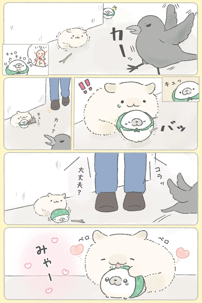 『ちょこんとあざらし』 62.webp