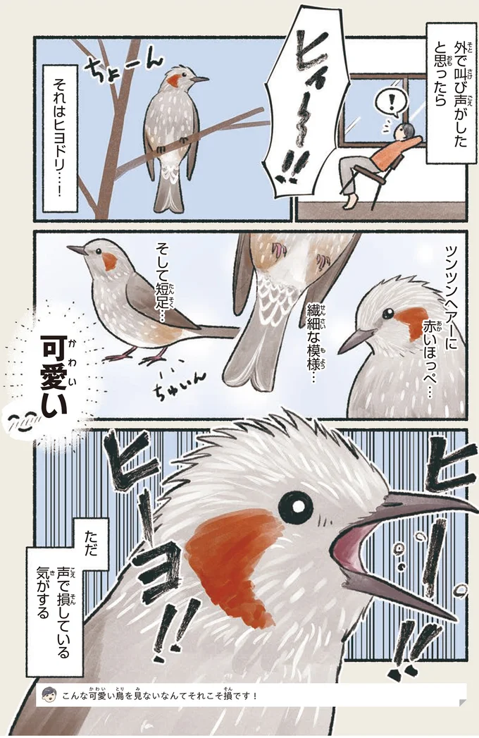 『意外と知らない鳥の生活 1〜2』 121.webp
