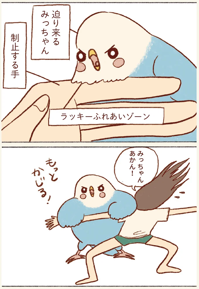 『プジェ日記！ 幸せを運ぶインコのみっちゃん』 107.webp