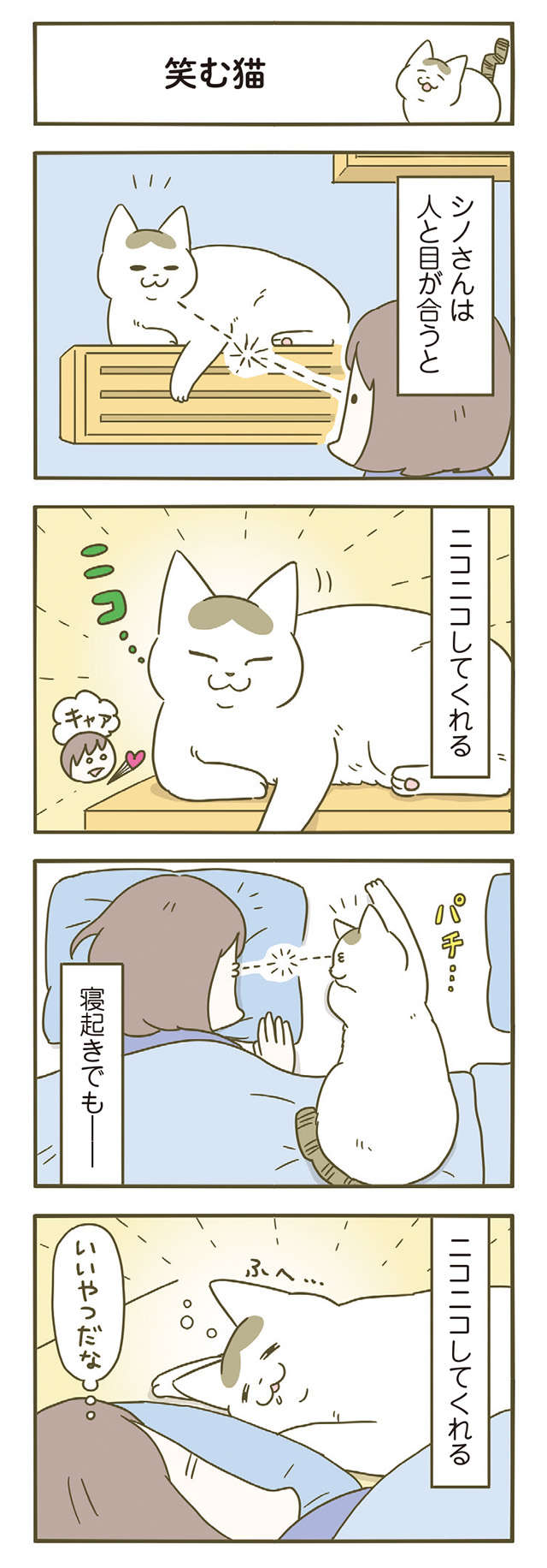 「猫がニコニコしてくれる」飼い主が最高にうれしくなる「この表情」／うちの猫がまた変なことしてる。6 11.jpg