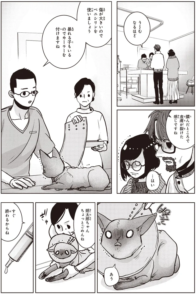 保護した子猫に我慢をさせていた...追い打ちをかけるつらい宣告に唖然/スローステップ朔太郎 上 15-01.png