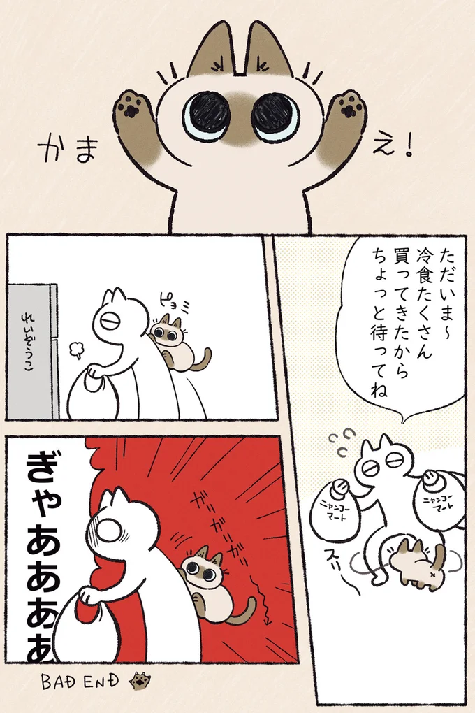 『シャム猫あずきさんは世界の中心』1〜2 10-03.png