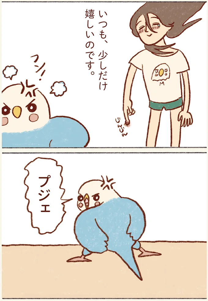 『プジェ日記！ 幸せを運ぶインコのみっちゃん』 144.webp