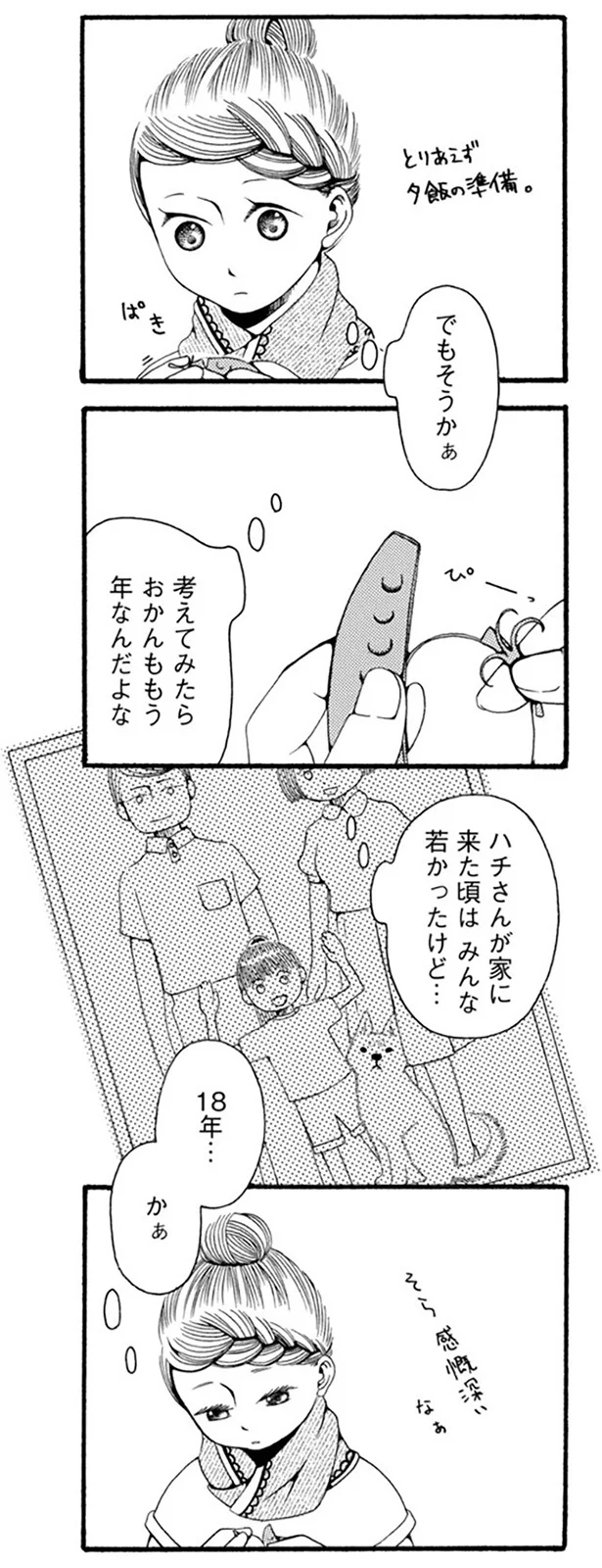 『96歳の柴犬ハチさんは、今日もお散歩しています。』 63.webp