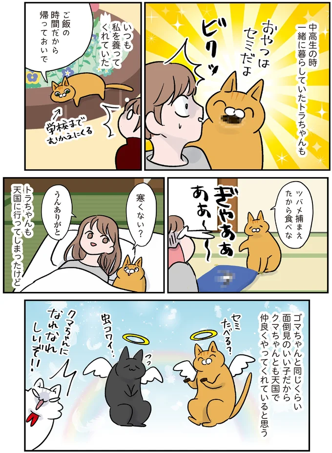 『マジレス幼児とモンペ猫 口達者な娘と過保護すぎる猫たちとの日常』 18.webp