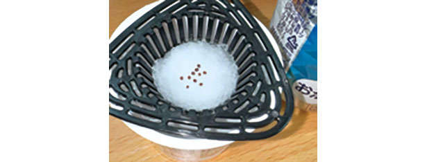 「水菜」は自宅で育てる！たくさん収穫するための「プラカップ」を使った栽培方法を紹介 chapter-1-プラカップ_0124-7-13.jpg