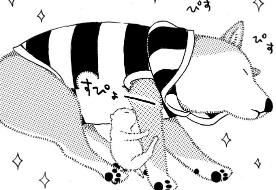 生まれたての子猫を保護した父。先住の老犬に懐いた...!?／じじ柴ハチさんは、今日も生きています。