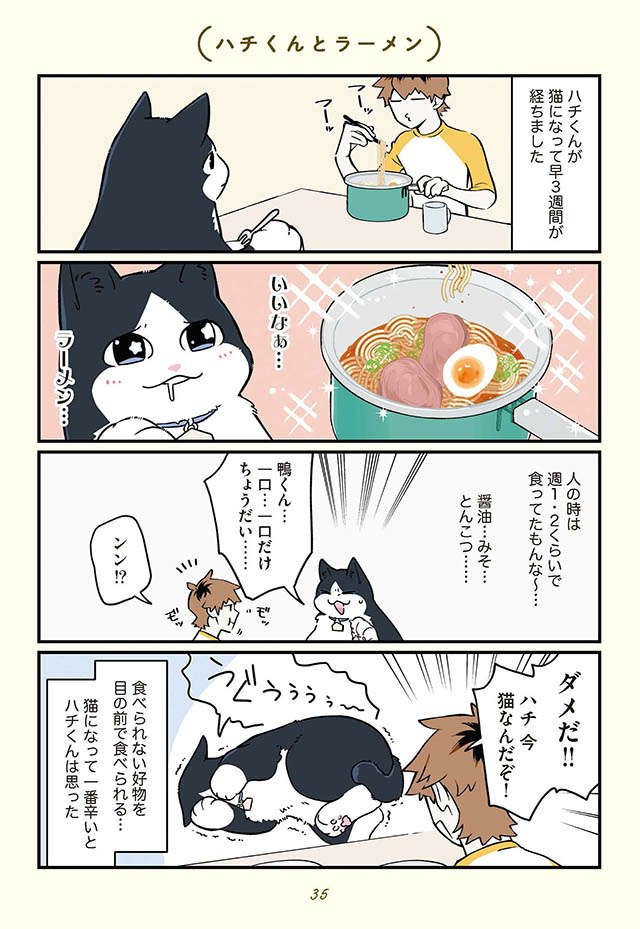 突然猫になった俺、好きだったアレが食べられない...！／ブラック企業の社員が猫になって人生が変わった話３ black-neko3_p35.jpg