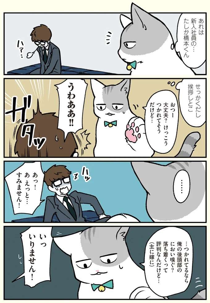 『ブラック企業の社員が猫になって人生が変わった話1〜3』 black22_1.jpeg