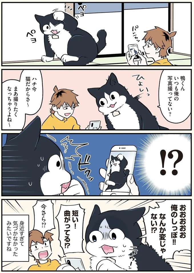 『ブラック企業の社員が猫になって人生が変わった話1〜3』 black33_1.jpeg