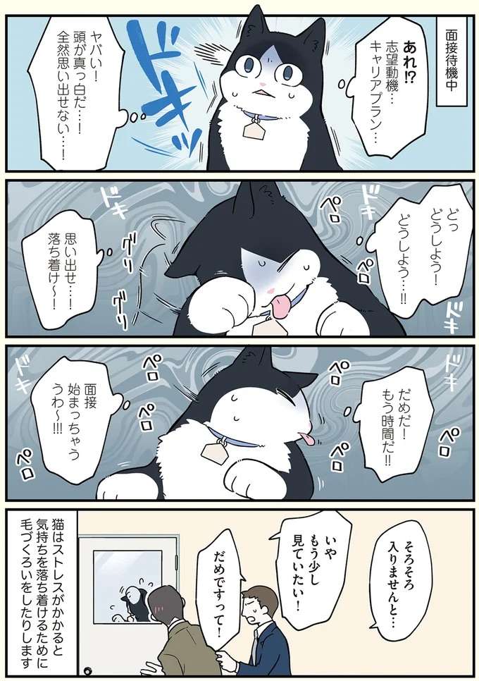 『ブラック企業の社員が猫になって人生が変わった話1〜3』 black37_1.jpeg