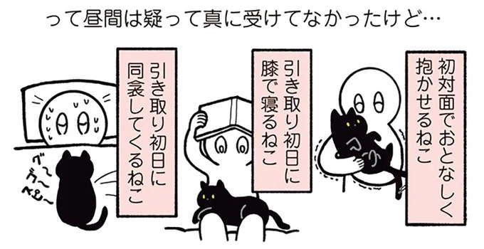 「本当にノラだったんですか...？」引き取った猫。人懐っこすぎて...えっ？／黒猫ろんと暮らしたら