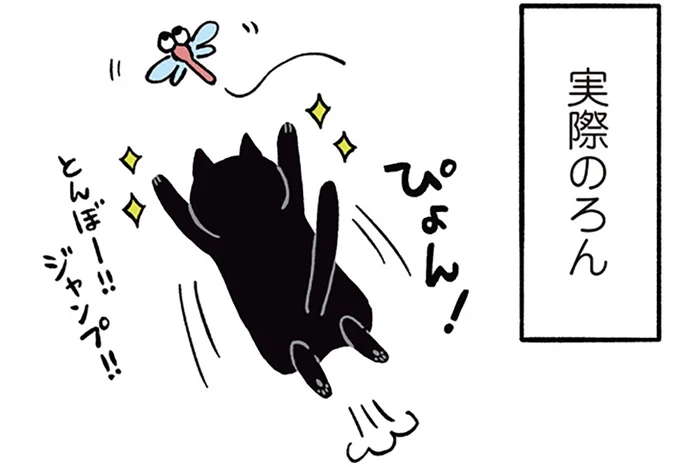 「大丈夫かなこの猫？」身軽なイメージがあったのに...えええ／黒猫ろんと暮らしたら