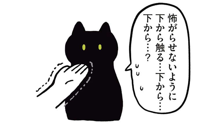 うちの猫の健気さと優しさ...。こんな時でも気づかいを／黒猫ろんと暮らしたら