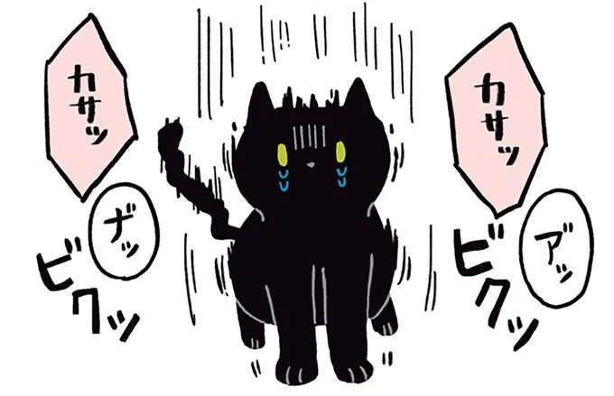 「猫と紙袋」。初めての体験はその後も黒猫ろんのトラウマに...⁉／黒猫ろんと暮らしたら