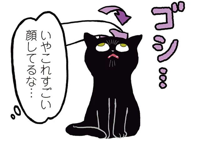 白目を剥いてゴロゴロ!? ブラッシング中の愛猫の謎すぎるご機嫌ポイント/黒猫ろんと暮らしたら