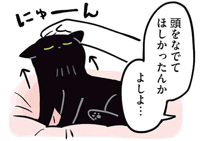 ベッドから呼びかけてくる愛猫。撫でてほしいのかと手を近づけると...!?/黒猫ろんと暮らしたら2
